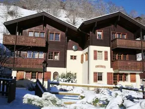 Arnika - Image 5