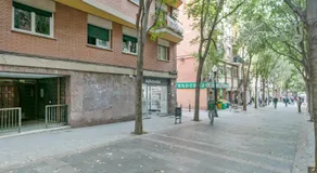 Alcam Rogent - Image 5