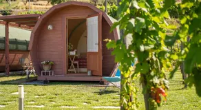 Dormire in una botte - Antiche Vigne Pironti - Image 4