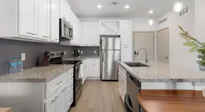 Landing Apartments - Summer House at Lake Apopka - Image 4