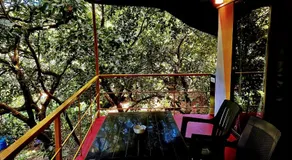 Samyama Retreat - Image 5