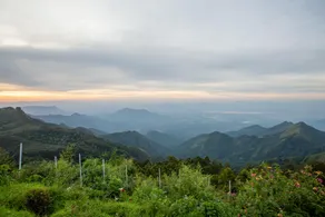 Greenlands - Image 2