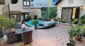 Catba Garden Camellia - Image 5
