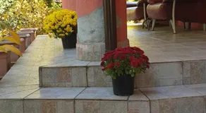 Casa Rosa - Image 5