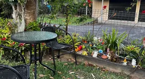 Wsabode - Image 4