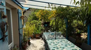 La Mésange bleue - Image 5