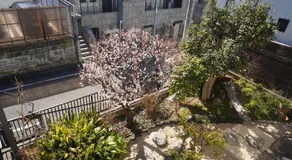Shimokitazawa Akima - Image 3