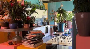 Plantkot, a cozy apartment full of plants of tinykot - Image 3
