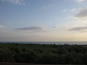 Magical sunset flat in an olive grove by the beach - Image 2