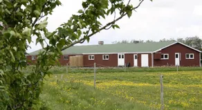 Kaldbakur Guesthouse - Image 3