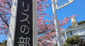 ファミリーホテルアリスの部屋 - Image 2