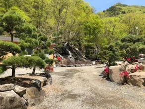 Wanju Haneurarae Cheotjip Pension - Image 3