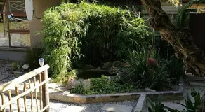 Willows Curve - Image 4