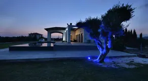 Villa Olivo Maroni - Image 4