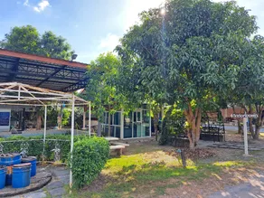 Armthong Resort - Image 4