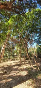 Vuon Thu Guest House Garden - Image 3