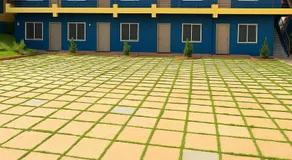 S N Greens - Image 5