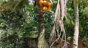 BINU ViLLA - Image 4