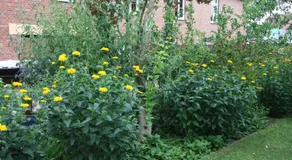 Hotel und Restaurant Knesebecker Hof - Image 5
