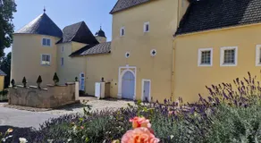 Schloss Thorn - Image 5