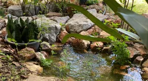 Royal mountain view (วิวเขาหลวง) - Image 3