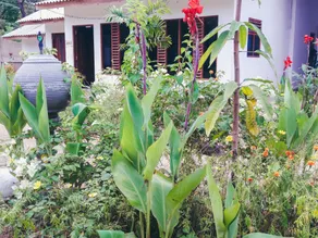 Wenasa Hotel - Image 3