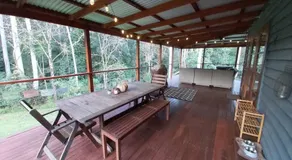 Eucalyptus Escape - Privacy in the Hinterland - Image 4