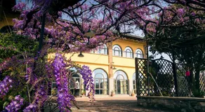 il Glicine B&B RISTORANTE - Image 4