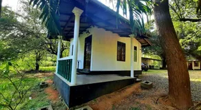 Ayu Kataragama - Image 4