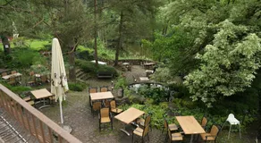 Halbinsel Am See - Image 5