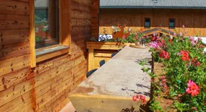 Ritterhof Apartment inkl Hohe Tauern Sommercard - Image 2