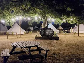 Bell Tent Glamping at Royal Victoria Country Park - Image 4