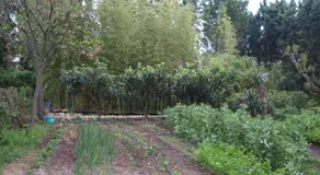 La Gracette - Image 5
