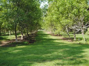Clarendon Chalets - Image 5