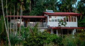 Rainforest field view resort - Image 5