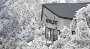 Absollut - Image 5