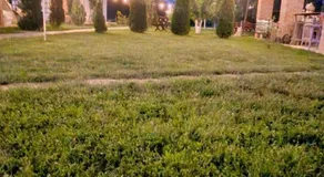 Garden Pypa - Image 5