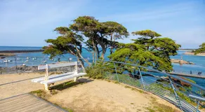 Les jardins de l'océan - Image 5