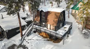 Silver Tip Big Bear - Image 5