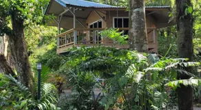 Treehouse La Hierba, Pavones - Image 4