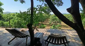 Napahong Treehouse นาป่าฮง - Image 3