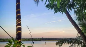 Green Island Homestay Riverside - Image 4