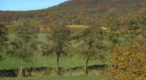 Pension zur Traube 3 Sterne - Image 3