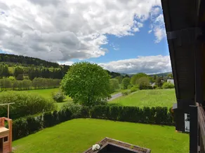 Luxurious Chalet in Medebach Sauerland with private garden - Image 5