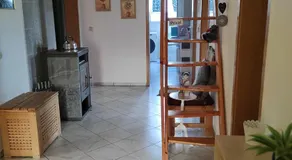 Ferienwohnung Grote - Image 5