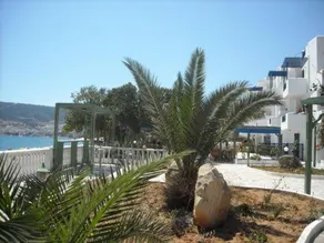Bay Watch - Image 4