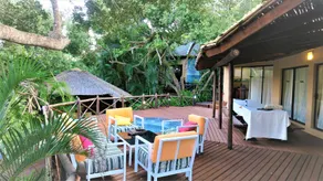 Baleia Azul 24 - Image 4