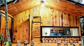 Homestay Vườn Trái Cây Nhiệt Đới VÔ ƯU GARDEN - Image 5