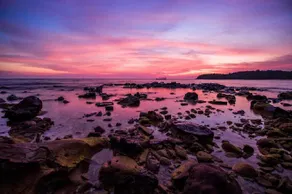 Kactus - Your Island Sanctuary - Image 3