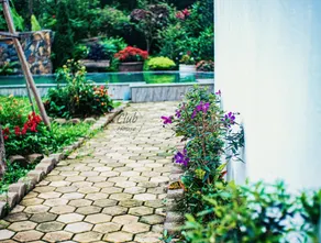 Lavender Homestay - Image 5